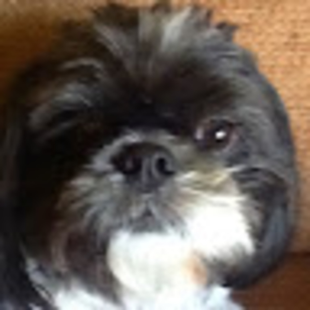 Meet your Posher, Katelyn